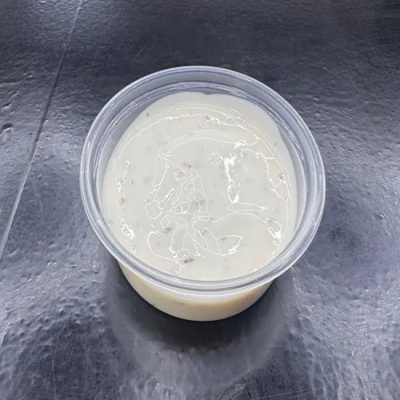Garlic Mayo Sauce 